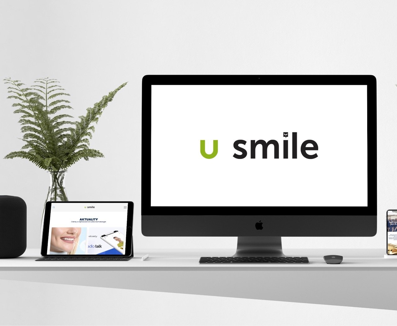 U SMILE